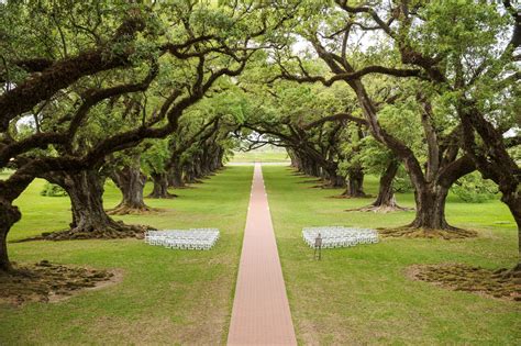 Oak Alley Plantation Weddings & Photography | Eye Wander Photo