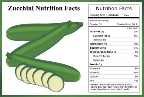 14 Different Types of Zucchini for All Kinds of Dishes