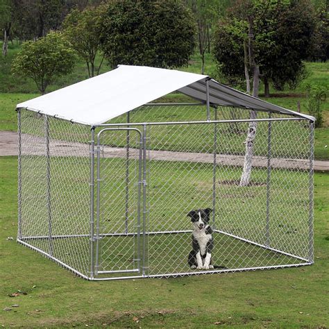 10 Must-Have Dog Cages for Your Outdoor Adventures: A Comprehensive ...