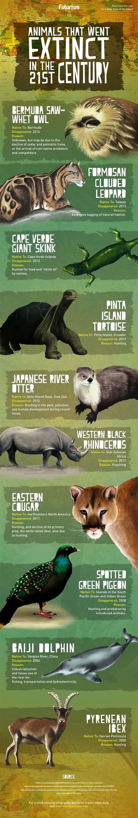 Animals That Went Extinct In The 21st Century [Infographic ...