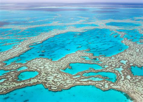 Visit The Great Barrier Reef, Australia | Audley Travel UK