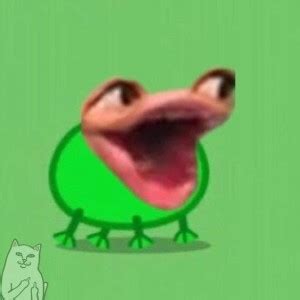 Create meme "funny frogs, frog and toad, tree frog" - Pictures - Meme ...