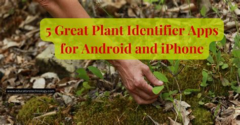 EdTechHub - 5 Great Plant Identifier Apps for Android and...