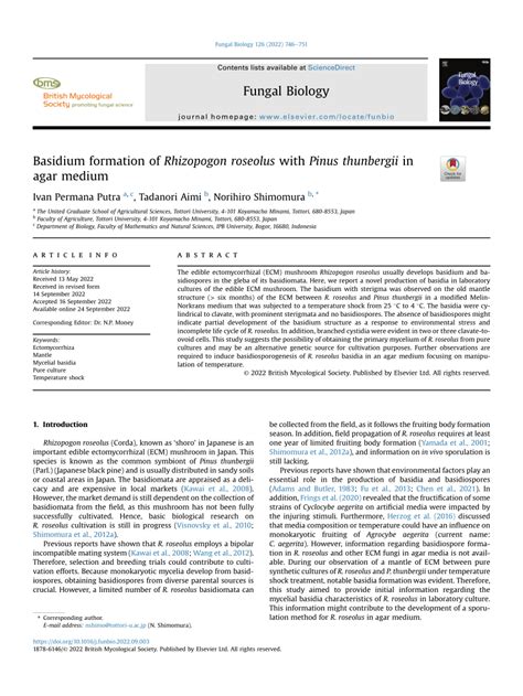 (PDF) Basidium formation of Rhizopogon roseolus with Pinus thunbergii ...