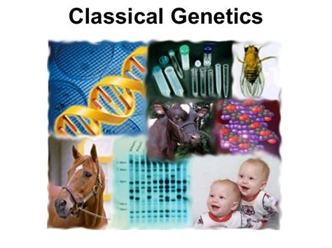 Classical Genetics