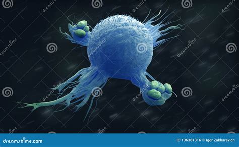 Macrophage Cartoons, Illustrations & Vector Stock Images - 1981 ...