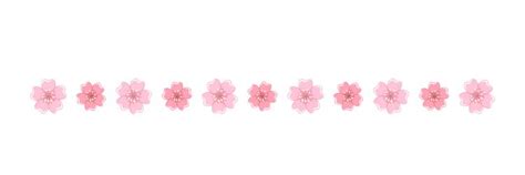 Cherry blossom divider spring floral border Vector Image