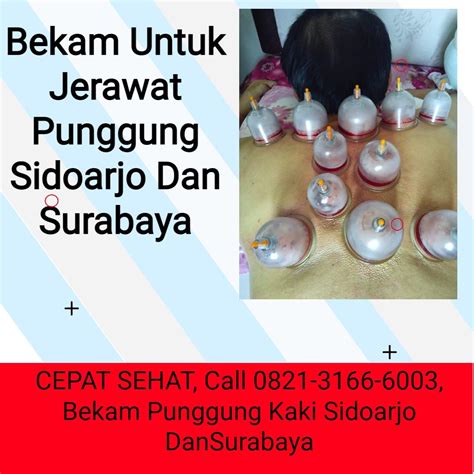 Bersertifikat, Call 0821–3166–6003, bekam kepala pusing Kota di ...