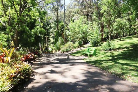 Tamborine Mountain Regional Botanic Gardens