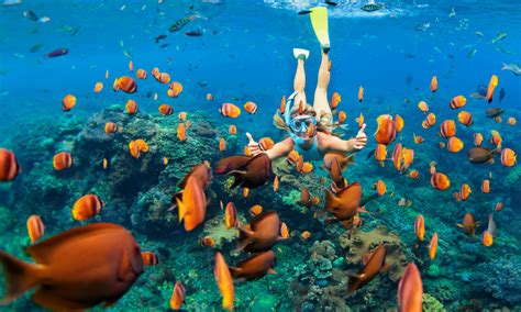 snorkeling-in-bahamas | Going Places