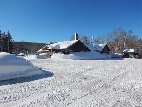 'Hard sledding': N.S. maple syrup producers slowed by COVID-19 outbreak ...