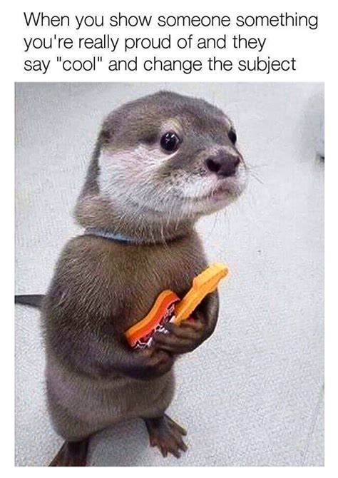 Otter With Guitar Meme - In Otter News