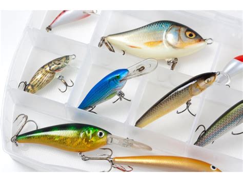 Best Rainbow Trout Lures - HowToTroutFish.com