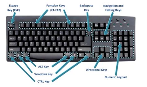 [Solved] Which key of the keyboard is mainly used to cancel the progr