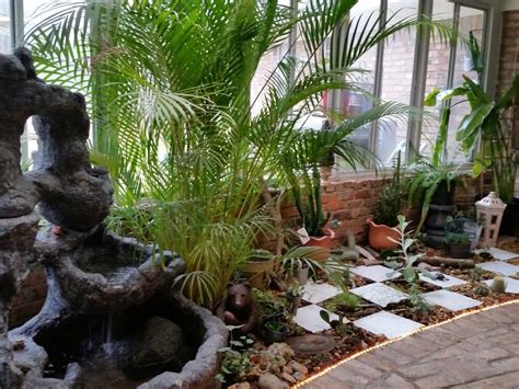 Our Atrium completed 12/31/16 | Atrium, Plants, 3.1