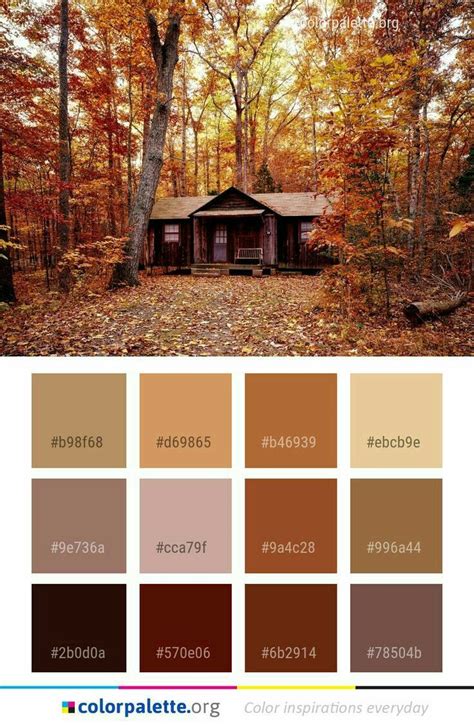 68 & 9e | Rustic color palettes, Fall color palette, Brown color palette