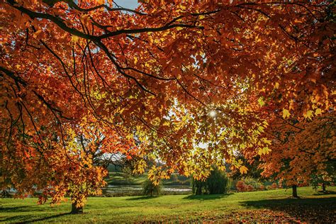 Autumn at the in Forest Park St Louis Missouri Photograph by Garry ...