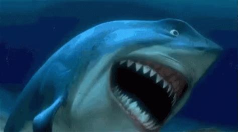 Bruce Shark GIF - Bruce Shark FindingNemo - Discover & Share GIFs