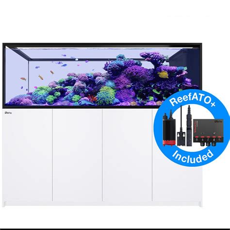 Red Sea REEFER Peninsula 950 G2+ Aquarium – Candy Corals