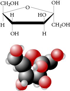 Beta Fructose Jmol