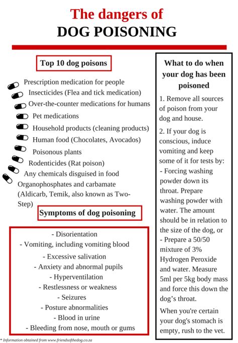 Dog poisoning warning | Rekord