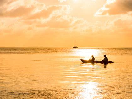 Ambergris Caye Diving - Belize