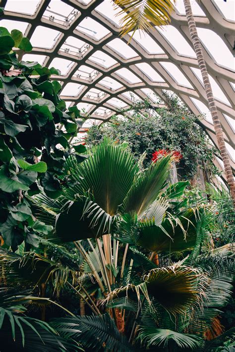 Explore the Oasis of the Denver Botanic Gardens | ParkMobile