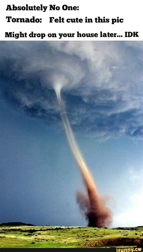 Absolutely No One: Tornado: Felt cute in this pic Might drop on your ...