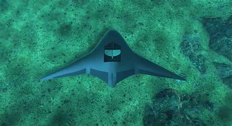 DARPA’s Manta Ray Underwater Drones Enter Phase 2, Demo Vehicles on the ...