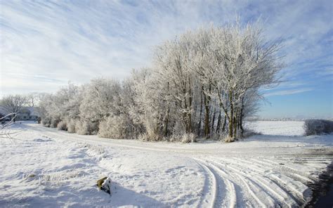 🔥 [50+] Snowy Fields Wallpapers | WallpaperSafari