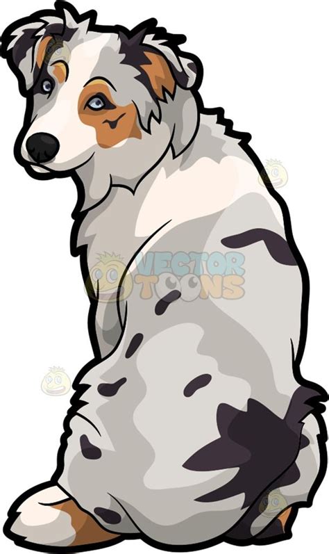 A Lovely Australian Shepherd Dog | Cartoon dog, Australian shepherd ...