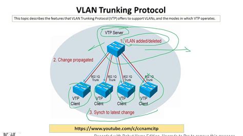 VLAN Trunking Protocol