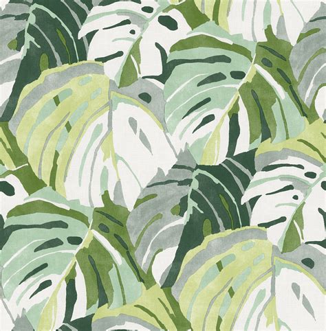 Monstera Wallpapers - 4k, HD Monstera Backgrounds on WallpaperBat