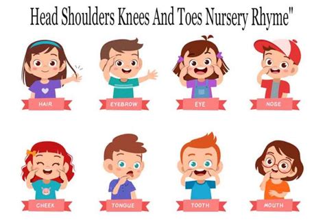 Head Shoulders Knees And Toes | Nursery Rhyme For Kids With Lyrics