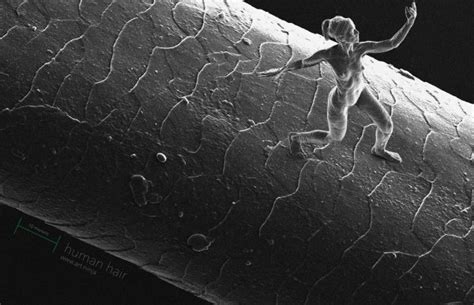 10 Most Fascinating Microscopic Things Ever Created - Oddee