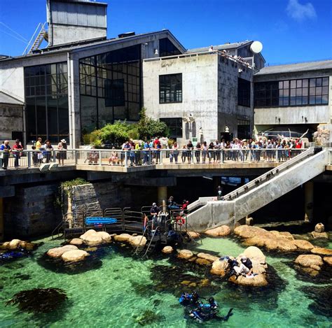 Monterey Bay Aquarium, Oceanside – Tim Hamby