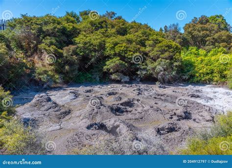 Mud Pools at Te Puia at New Zealand Stock Image - Image of fumarole ...