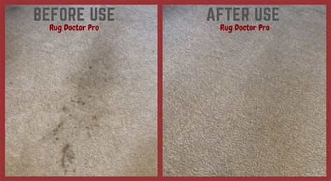 Rug Doctor Pro Deep Carpet Cleaner Review - Buyer's Guide