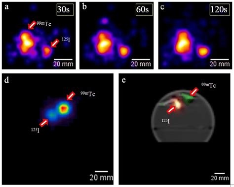 (a-c) Gamma images of the dual radionuclide sources acquired using HGC ...