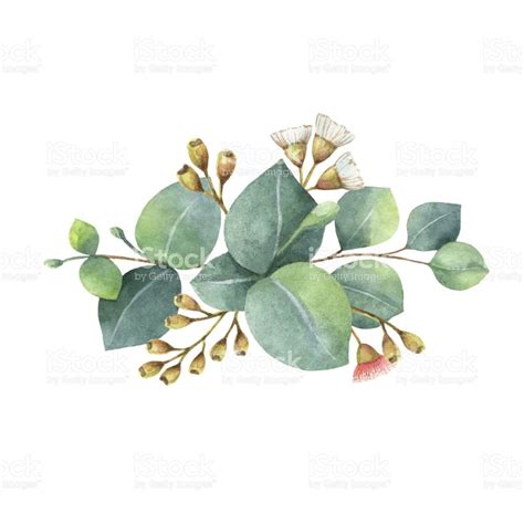 Watercolor hand painted bouquet with green eucalyptus leaves and ...