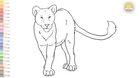 Lioness outline drawing easy 03 | How to draw A Lioness step by step ...