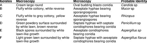 Macroscopic and microscopic identification of fungal isolates ...