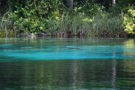 Alexander Springs | Florida Hikes!