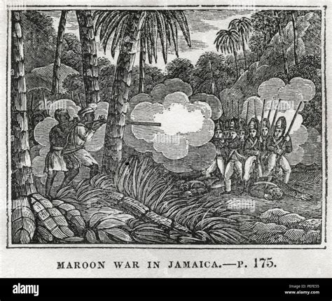 Maroon War in Jamaica, Illustration from the Book, Historical Cabinet ...