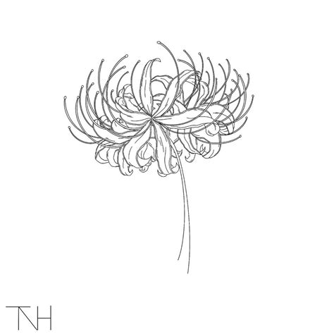 Flor Tattoo, Lily Tattoo, Bee Tattoo, Lilly Tattoo Design, Japan Tattoo ...