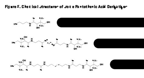 Pantothenic Acid | Linus Pauling Institute | Oregon State University