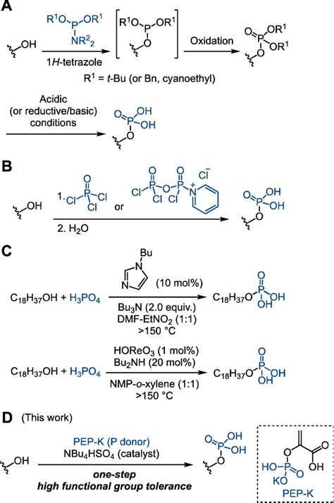 Chemical approaches for phosphate monoester synthesis from alcohols ...