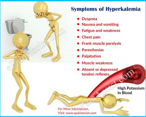 High Potassium Hyperkalemia Symptoms Causes And Prevention - Mobile Legends