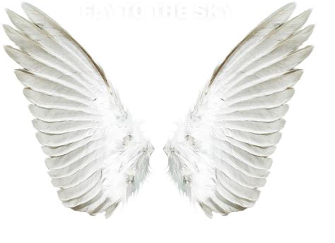 Free Angel Wings Png Download Free Angel Wings Png Png Images Free ...