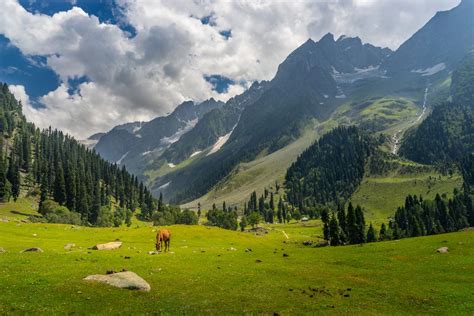 Srinagar Side Trips: Top 8 Kashmir Valley Tourist Places